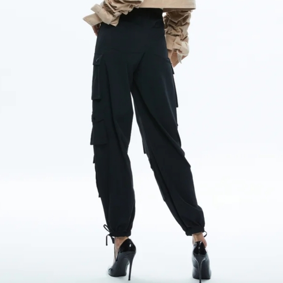 Allice + Olivia OLYMPIA HIGH RISE ANKLE TIE CARGO PANTS | Size 0 - Picture 2 of 12